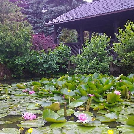 Dankowska Dolina Villa Kültér fotó