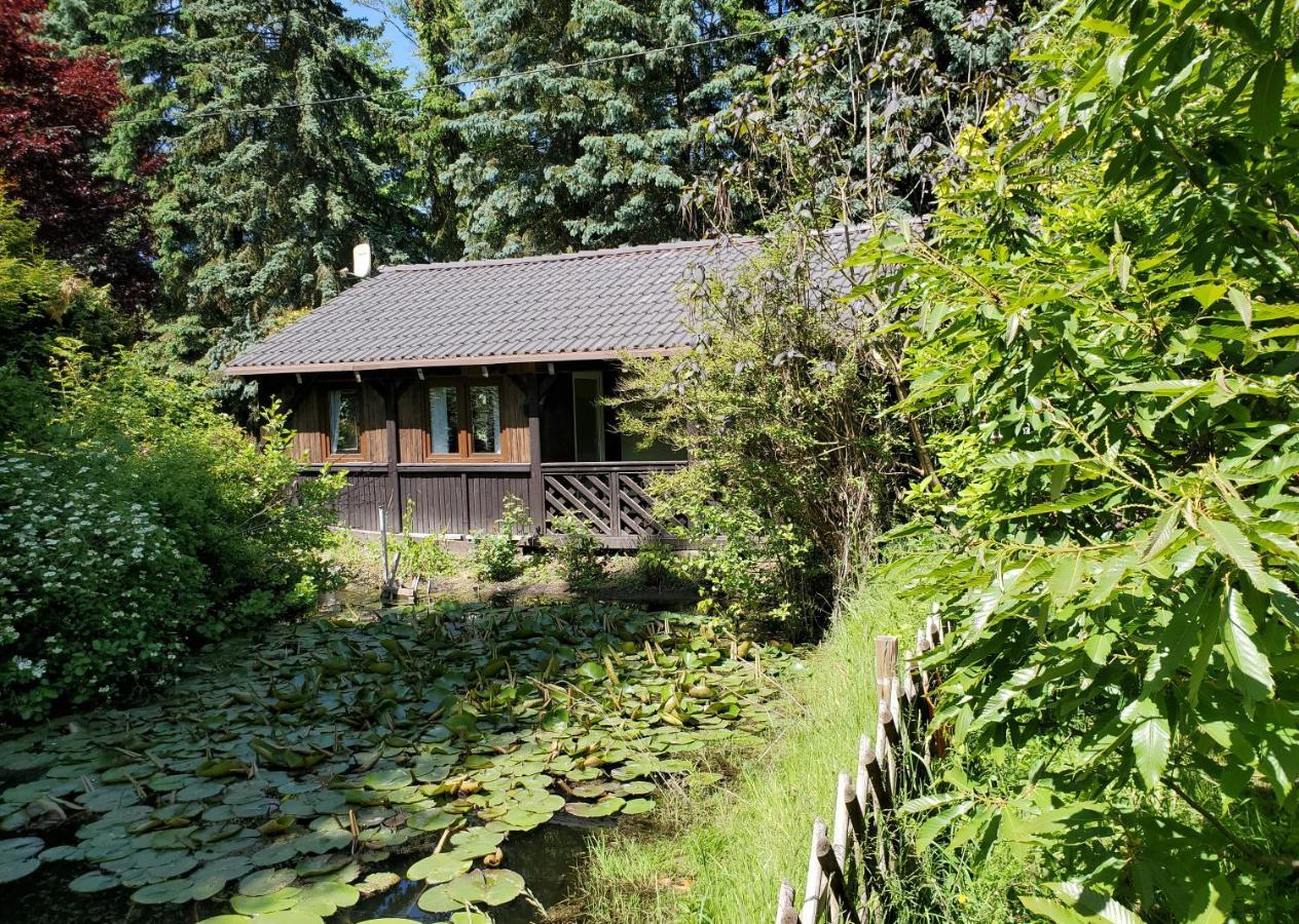 Dankowska Dolina Villa Kültér fotó