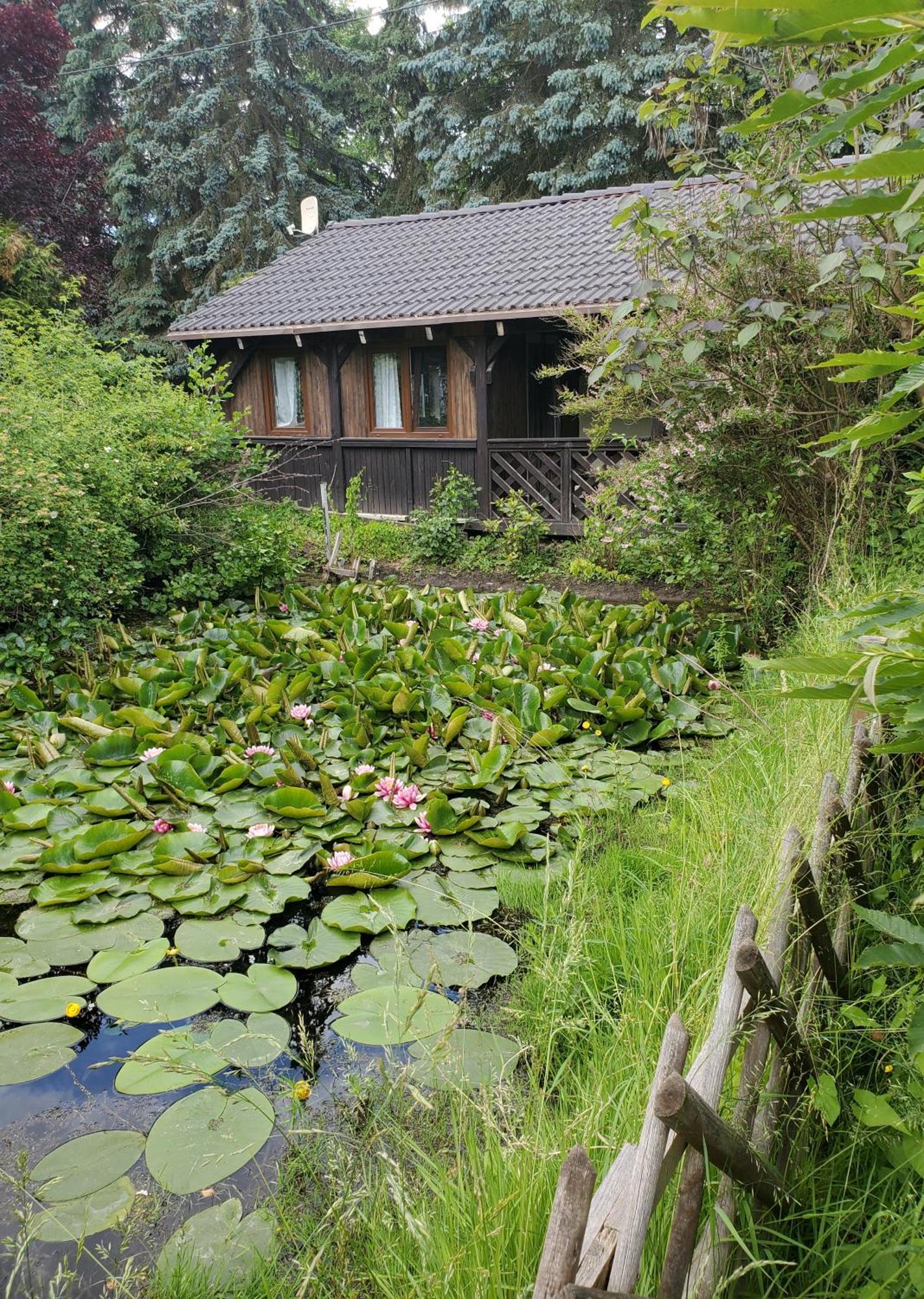 Dankowska Dolina Villa Kültér fotó