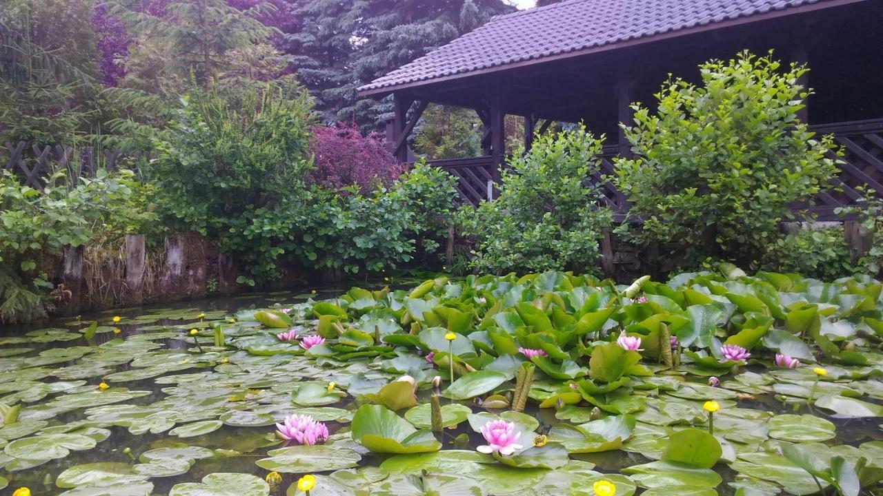 Dankowska Dolina Villa Kültér fotó